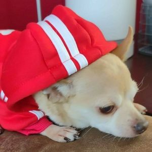 Meet your Posher, Misty